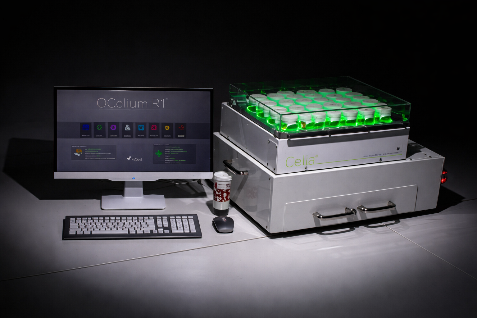 ChatGPT Image 16 mar 2026, 11_43_03